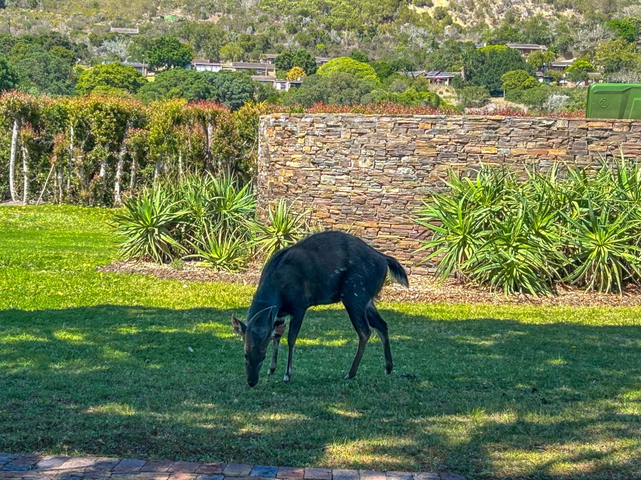 0 Bedroom Property for Sale in Brenton On Lake Western Cape